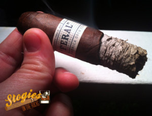 Feral Flying Pig - 2nd Third